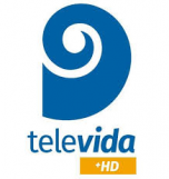 Watch online TV channel «Canal 9 Televida» from :country_name