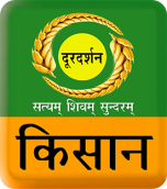 Watch online TV channel «DD Kisan» from :country_name