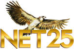 Watch online TV channel «Net 25» from :country_name