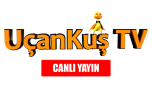 Watch online TV channel «UcanKus TV» from :country_name