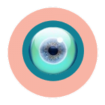 Watch online TV channel «TV OFF» from :country_name