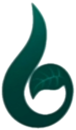 Watch online TV channel «Baran TV» from :country_name