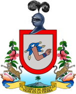 Watch online TV channel «Icrtv Colima» from :country_name