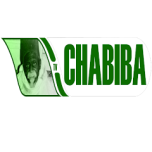 Watch online TV channel «Chabiba TV» from :country_name