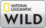 Watch online TV channel «National Geographic Wild» from :country_name