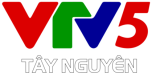 Watch online TV channel «VTV5 Tay Nguyen» from :country_name